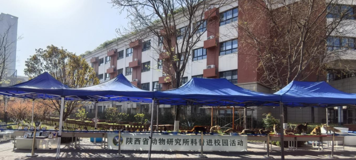 科技之春进校园 趣味科普启童心——陕西省动物研究所开展第三十四届“科技之春”系列科普活动