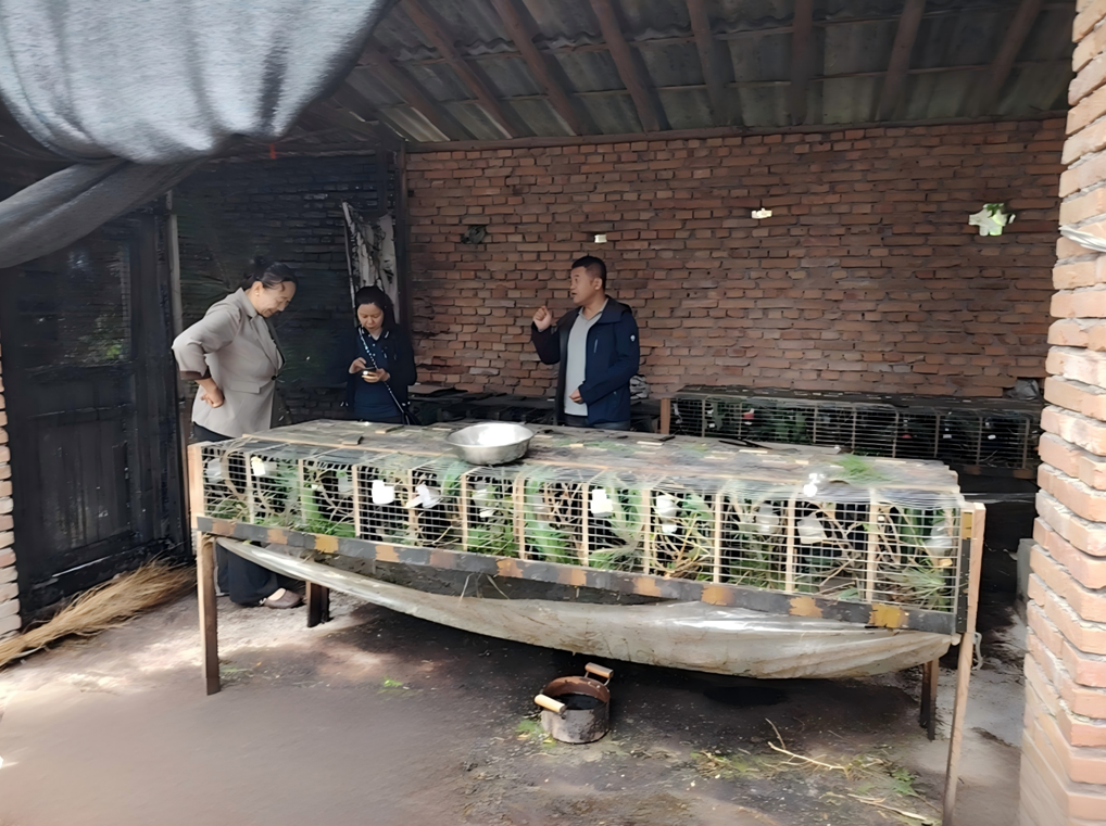 陕西省动物研究所科研团队在复齿鼯鼠霉菌毒素中毒机制研究方面取得突破性进展