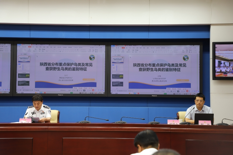 守护三秦飞羽：陕西省动物研究所助力全省野生鸟类保护及专项打击行动